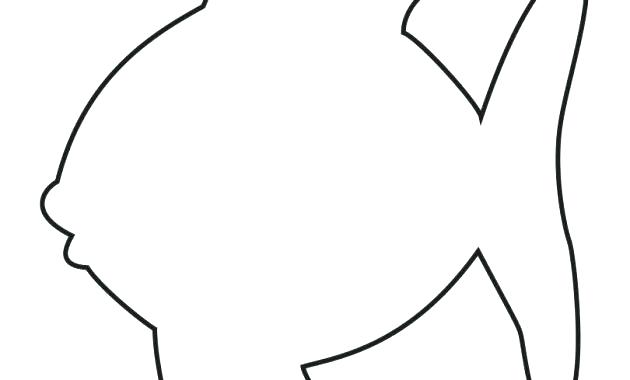 630x380 Starfish Template Cut Out