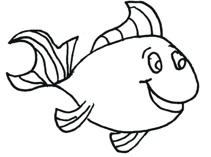 736x548 Outline Drawings Of Fish Free Download Best Starfish Clipart