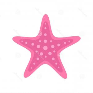 300x300 Pink Starfish Marine Animal Vector Illustration Drawing Isolated