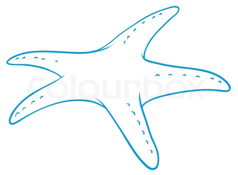 800x588 A Star Fish Sketch Stock Vector Colourbox