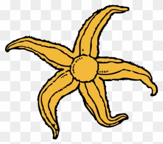 320x284 Smock Starfish Motif Clipart