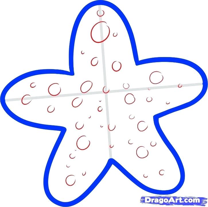 725x722 Draw A Starfish