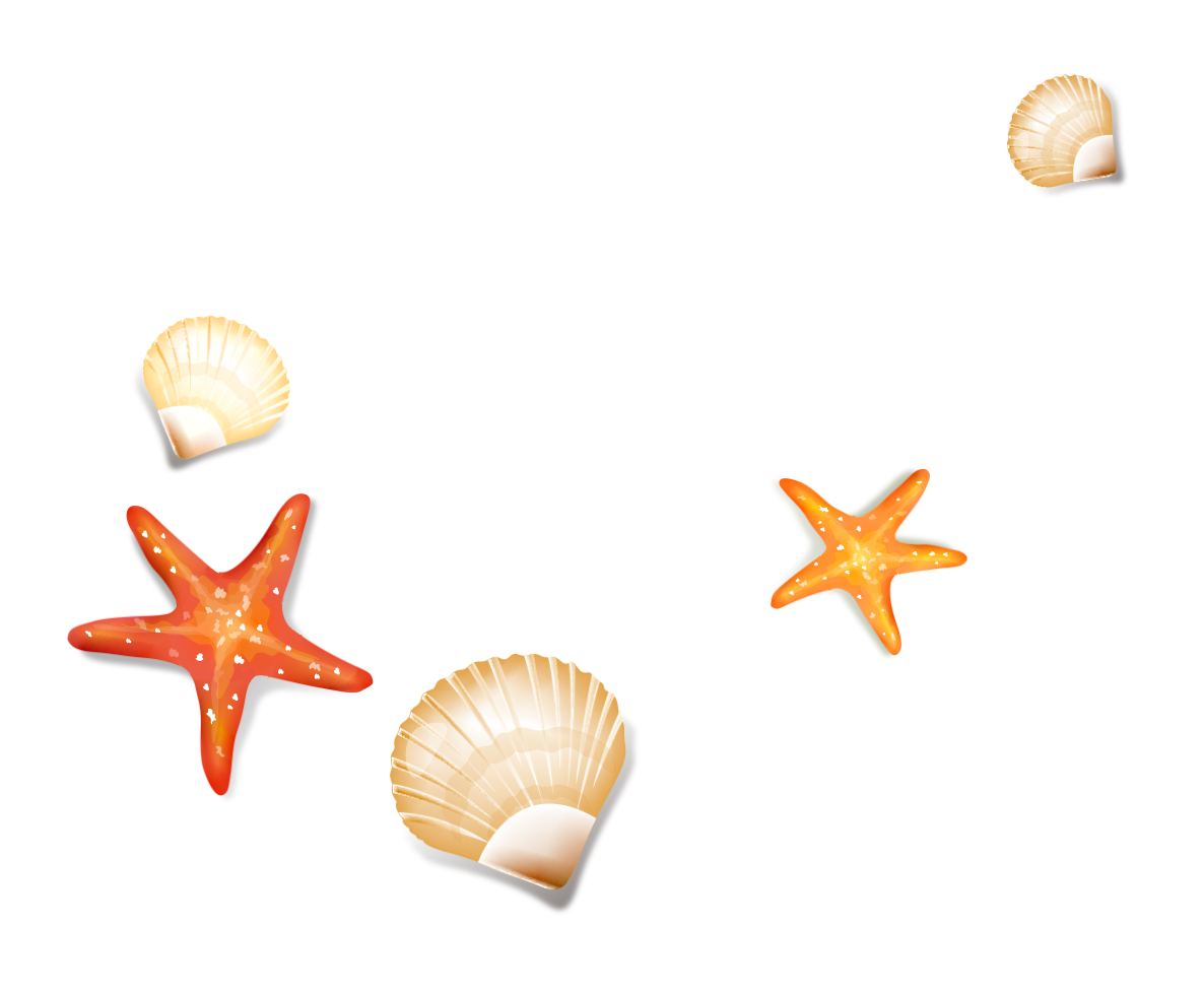 1186x976 Drawing Shells Starfish Transparent Png Clipart Free Download