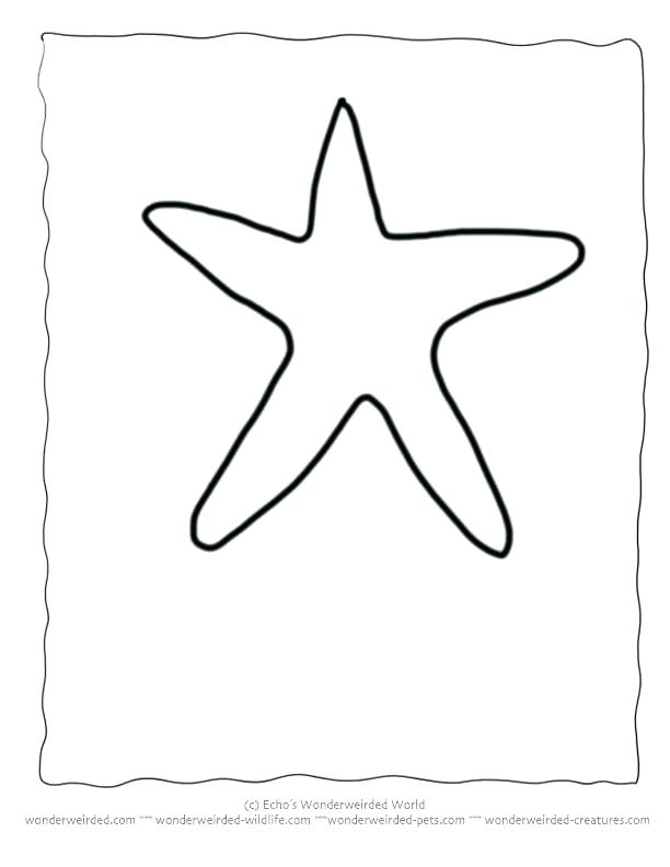 612x792 Printable Drawings And Coloring Pages Starfish For Pictures