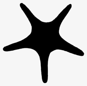 300x294 Starfish Png Images Png Cliparts Free Download On Seekpng