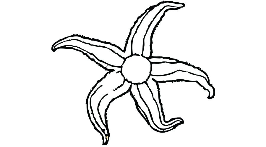 900x500 Patrick Star Drawing