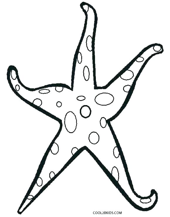 Starfish Pencil Drawing | Free download on ClipArtMag