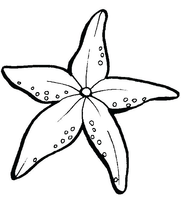 600x689 Awesome Starfish To Color Adorable Simple Starfish Coloring