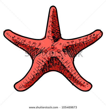450x470 Collection Of 'sea Star Drawing' Download More Than Images