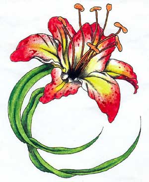 300x366 Day Lily Tattoo