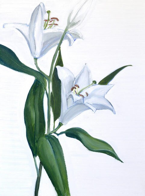 481x650 Stargazer Lilies Oil Painting Contemporary Art Brighton Smith