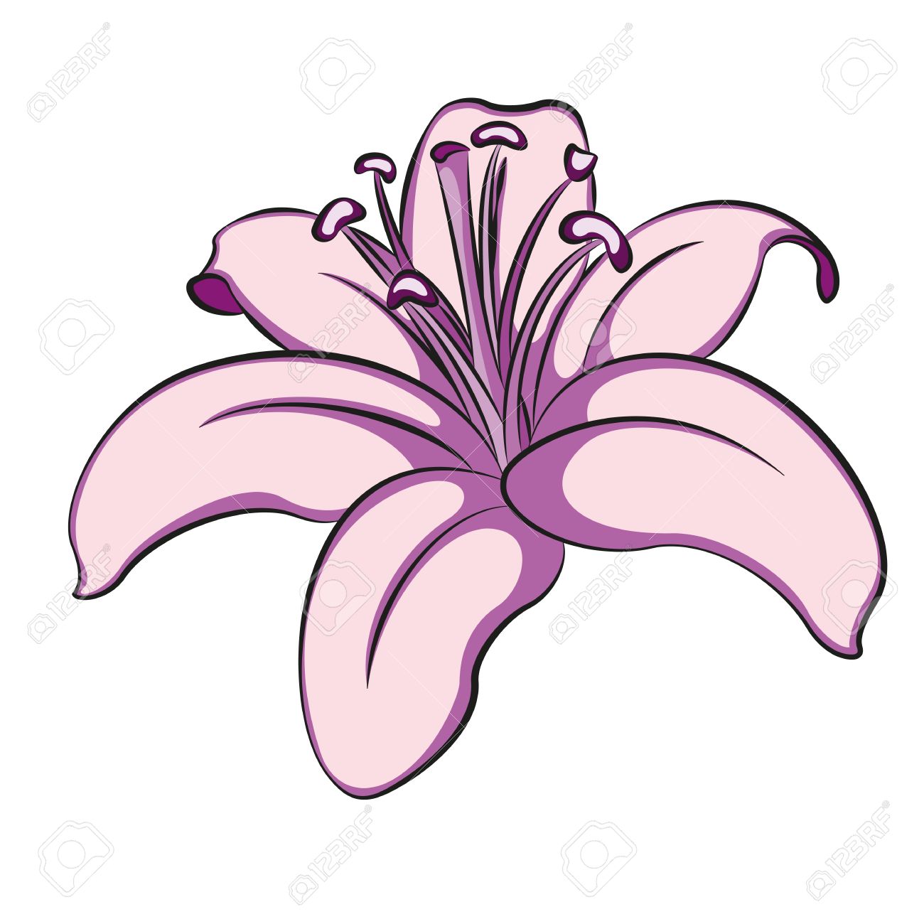 1300x1300 Stargazer Lily Clipart