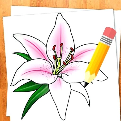 512x512 Teach Me How To Draw A Flower How To Draw Flowers Easy Lessons