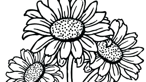 585x329 And Coloring Pages Starry Night