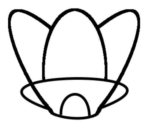 503x422 stlb starship loadout sacrifice wiki fandom powered