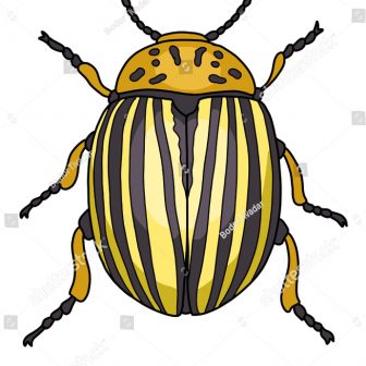 336x336 colorado powerball channel draw deadline lottery second chance