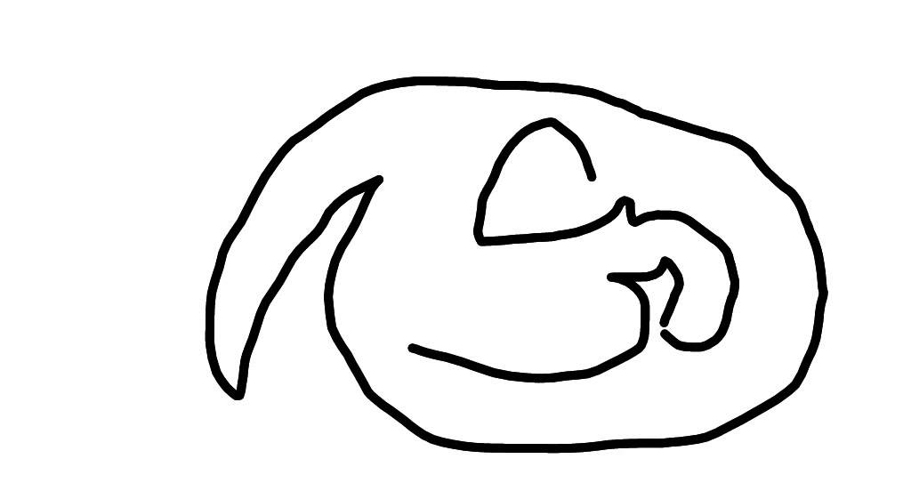 1024x552 How Draw The Penn State Logo
