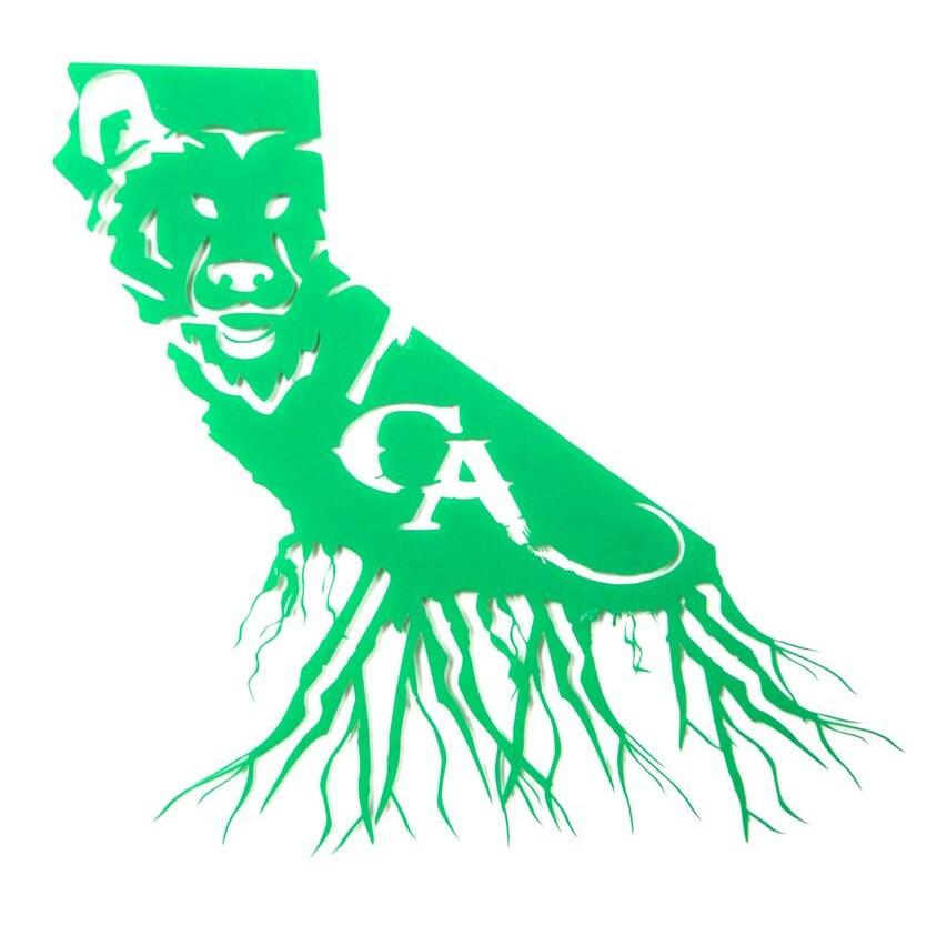 853x852 Decal Stickers