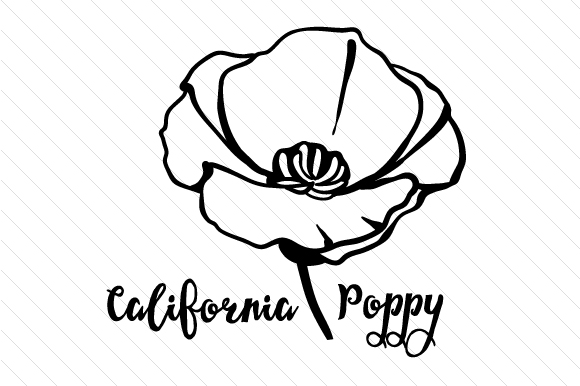 580x386 State Flower California Poppy
