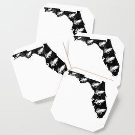 264x264 Florida State Coasters