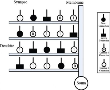 442x360 Study Training With States Of Matter Search Algorithm Enables