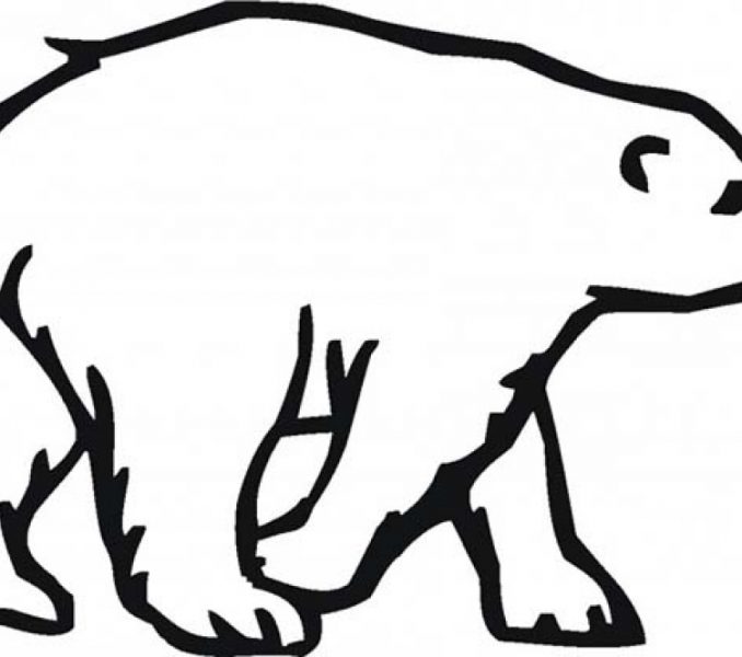 678x600 Polar Bear Template Get This Easy Printable Polar Bear Coloring