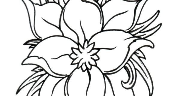 570x320 Coloring Pages Halloween Cat For Kids Fall Disney Free New Statue