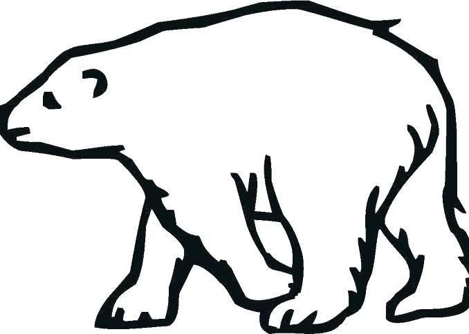 678x484 Polar Bear In The Snow Preschool Art Project Template