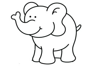 320x240 Printable Elephant Pictures Printable Elephant Pictures Elephant