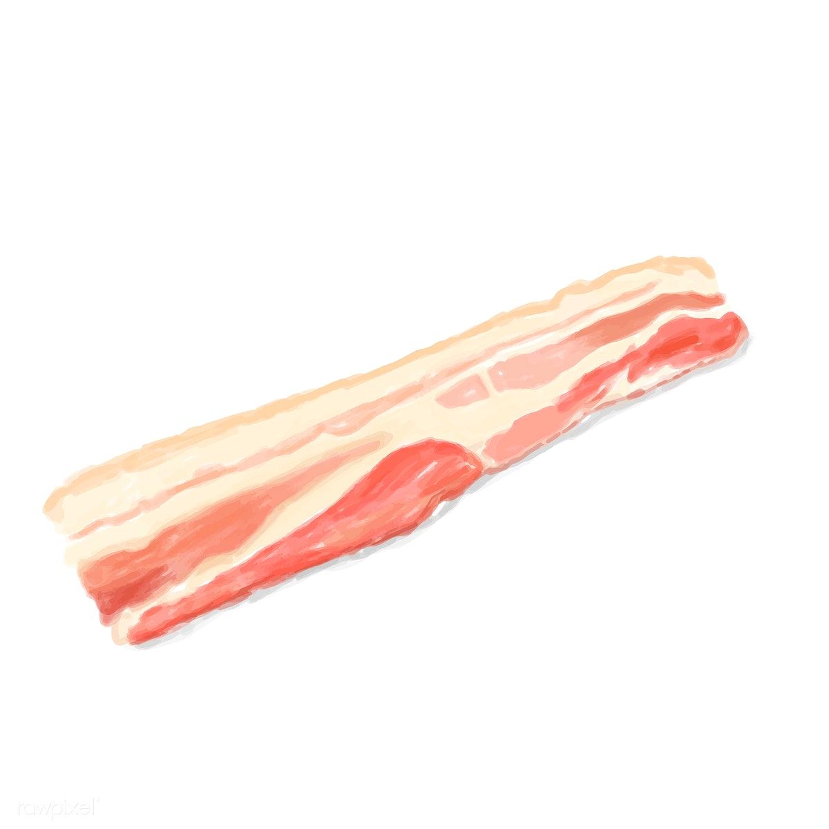 1200x1200 Hand Drawn Bacon Watercolor Style Free Image