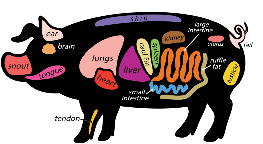 920x504 Steak Meat Product Transparent Png Clipart Free Download