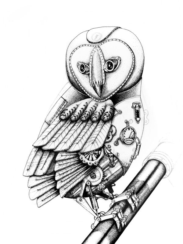 600x800 Tattoo Inspiration Athena's Owl