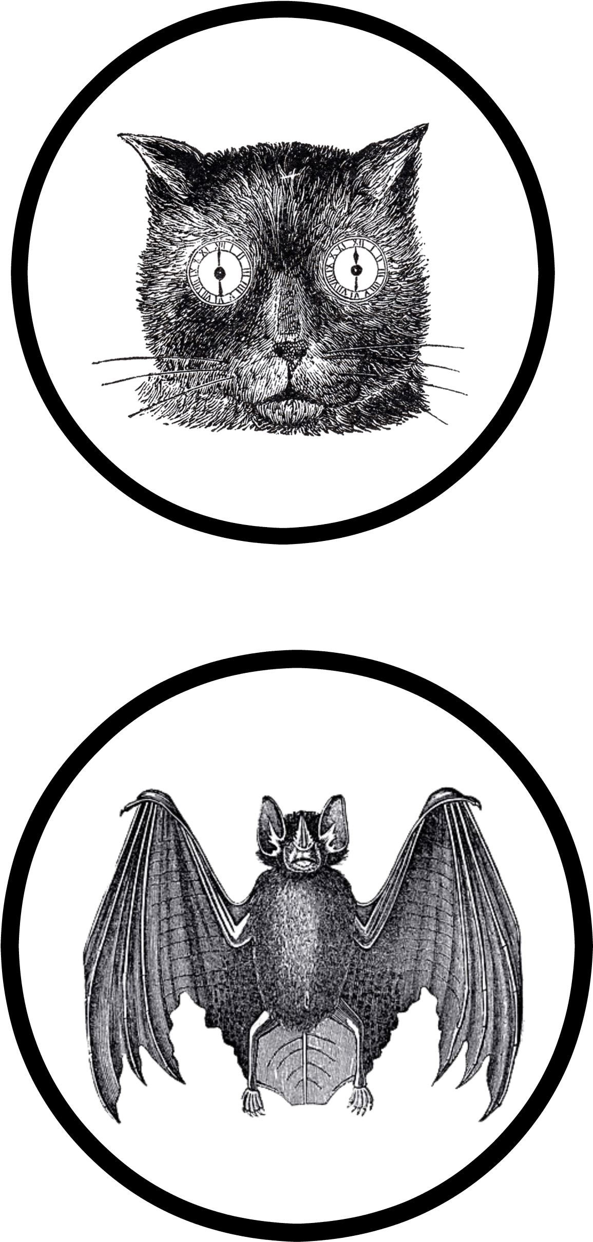 1155x2420 Download Slightly Coastal Halloween Printable Page