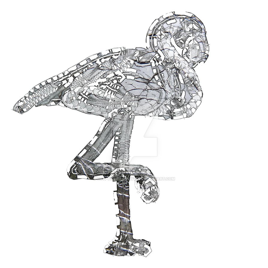 894x894 Flamingo Drawing Steampunk For Free Download