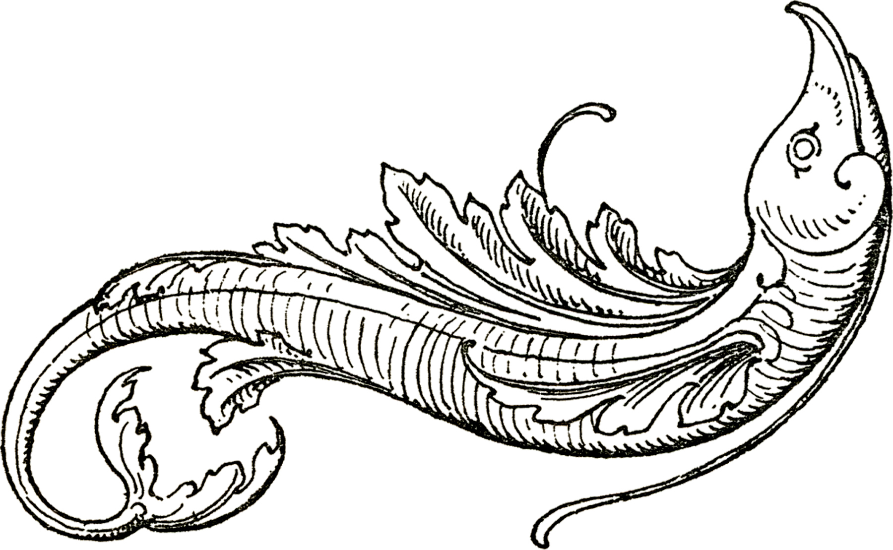 1800x1109 Flying Fish Drawing