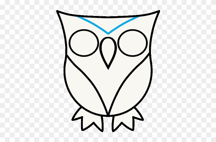 880x579 How To Draw Owl