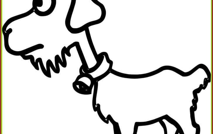 728x460 Sheep Coloring Book
