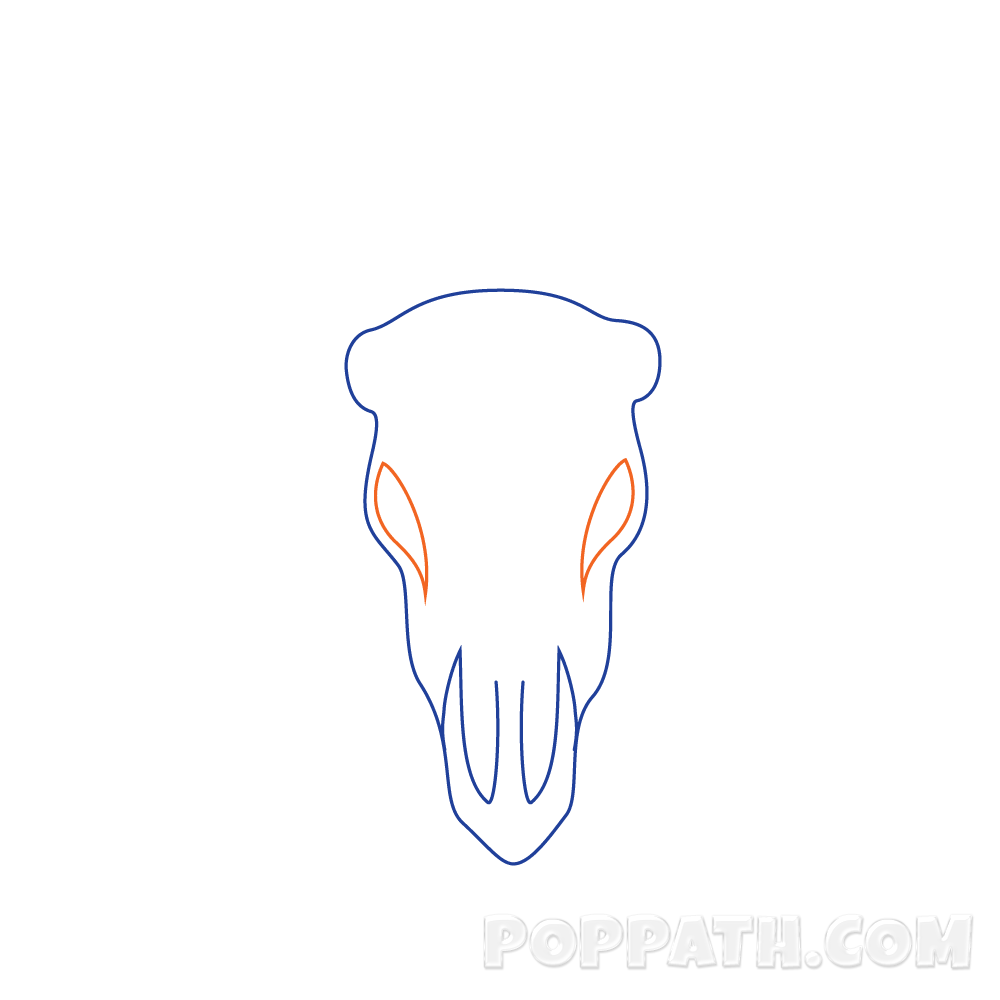 1000x1000 How To Draw A Longhorn Skull Pop Path
