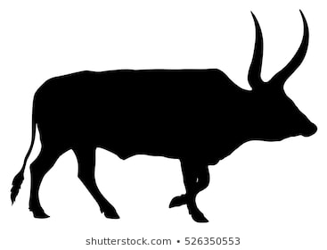 367x280 Huge Collection Of 'longhorn Steer Silhouette' Download More Than