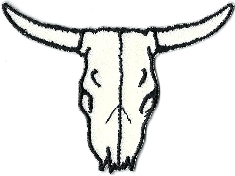 794x594 Steer Head Skull Large Cast Metal Ashtonkeys