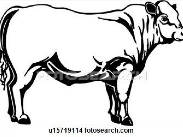640x480 beef clipart beef steer