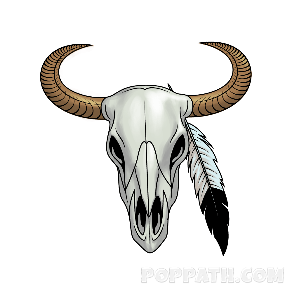 1000x1000 How To Draw A Longhorn Skull Pop Path