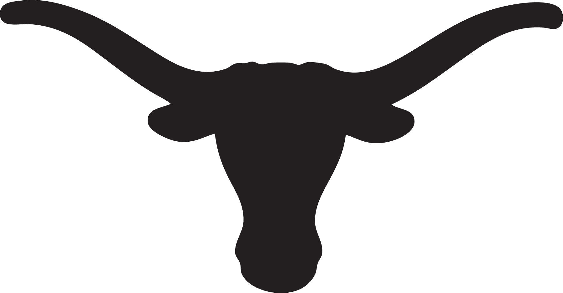 1800x937 Steer Head Silhouette