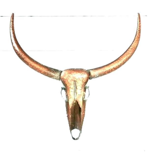 620x620 Steer Head Skull Tattoo Whereishannah