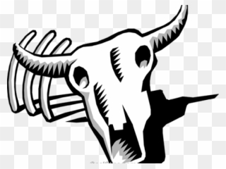320x240 Vector Illustration Of Cattle Cow Steer Skull With Clipart