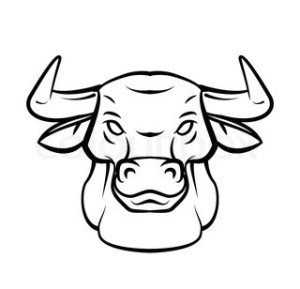 Steer Head Drawing 