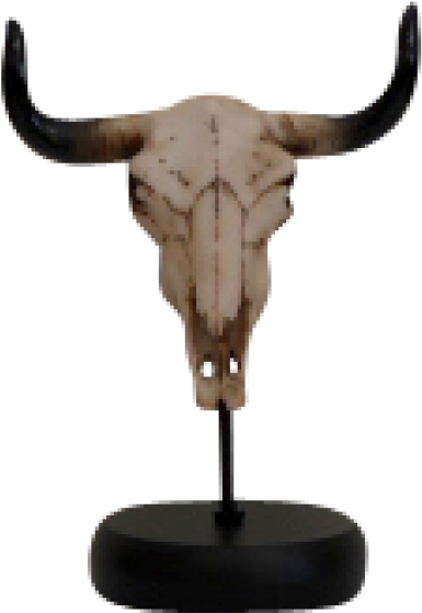 385x559 Hd Small Steer Skull