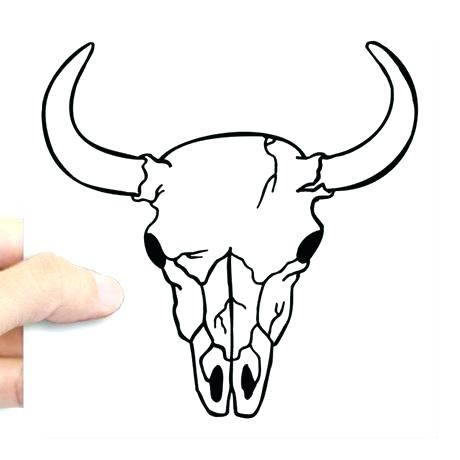 Steer Skull Drawing | Free download on ClipArtMag