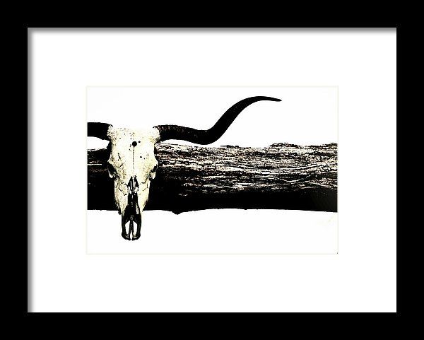 600x481 Steer Framed Print Featuring The Photograph Longhorn Skull