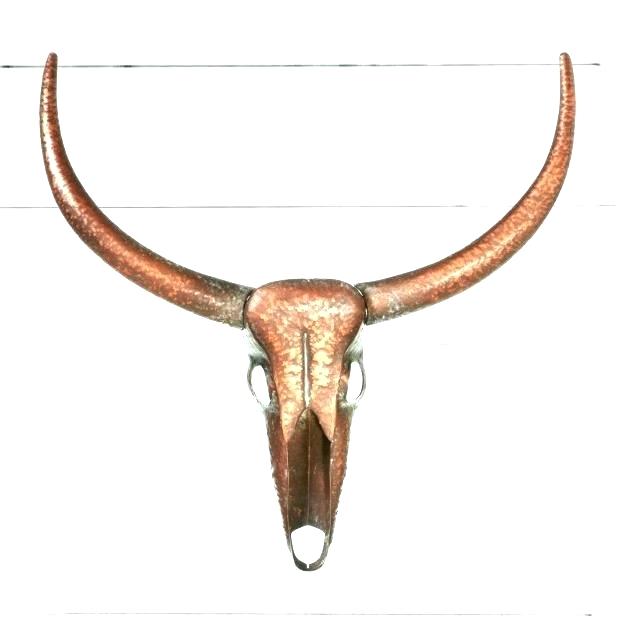 620x620 steer skull decor cow skull wall decor small cattle skull wall